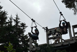 Vancouver: Capilano Bridge, Grouse Mountain och Aquabus-tur