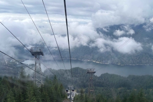 Vancouver: Capilano Bridge, Grouse Mountain och Aquabus-tur