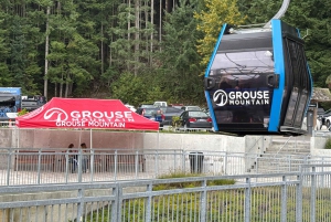 Vancouver: Capilano Bridge, Grouse Mountain och Aquabus-tur