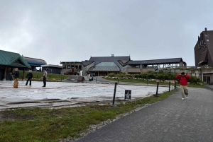 Vancouver: Capilano Bridge, Grouse Mountain och Aquabus-tur