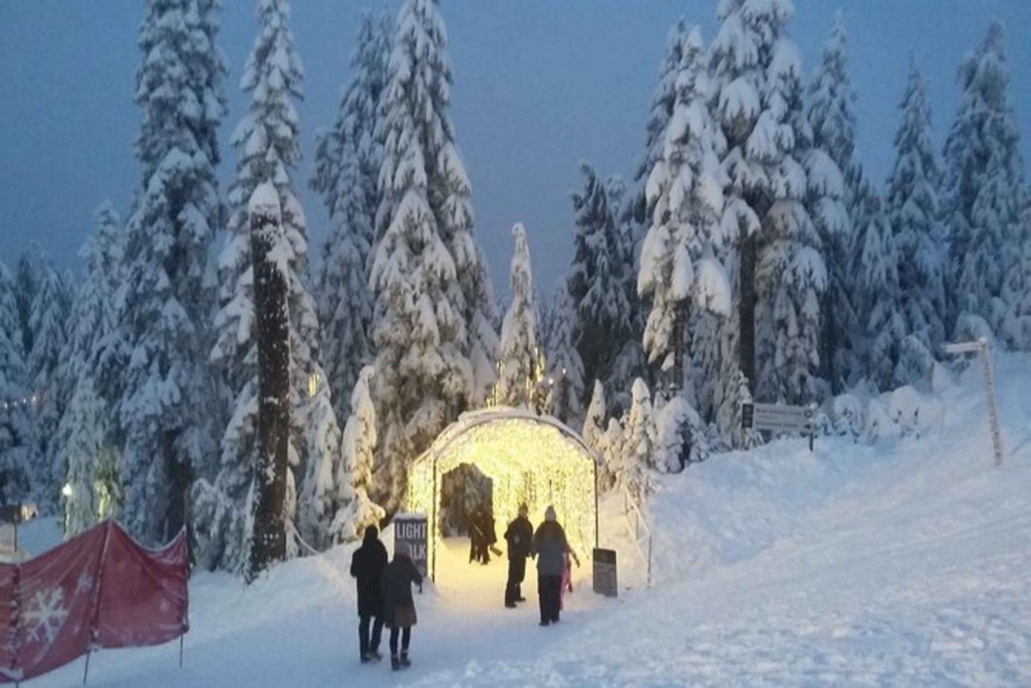 Vancouver Capilano Canyon light&peak of Christmas in Grouse