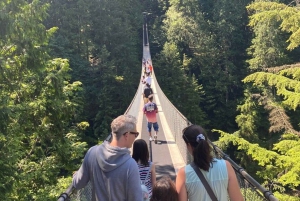 Vancouver Capilano Canyon light&peak of Christmas in Grouse