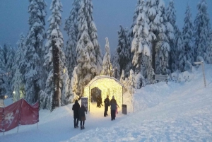 Vancouver Capilano Canyon light&peak of Christmas in Grouse