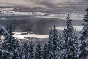 Vancouver Capilano Canyon light&peak of Christmas in Grouse