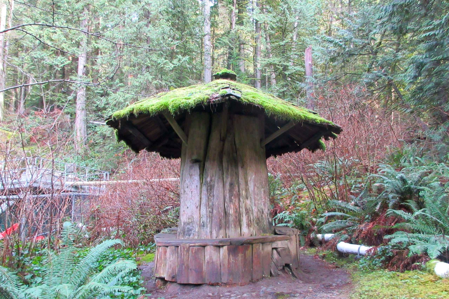 バンクーバー：キャピラノ川孵化場「Love the Land」ツアー