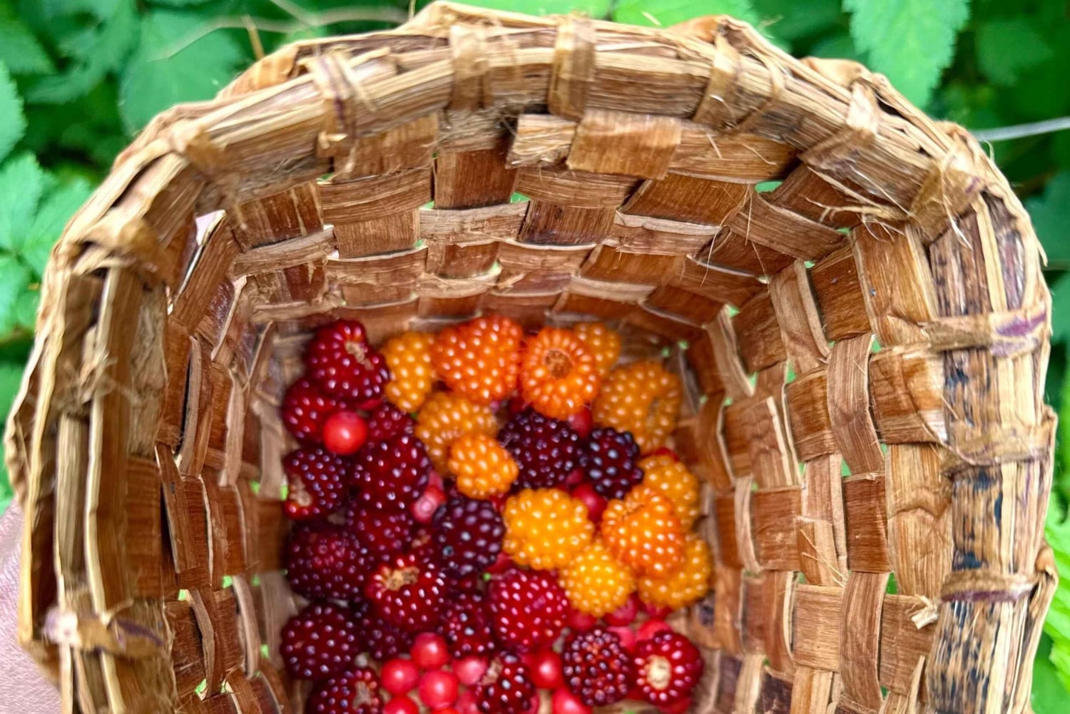 バンクーバー：キャピラノ川孵化場「Love the Land」ツアー