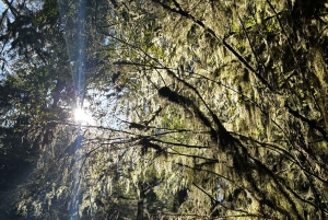 バンクーバー：キャピラノ川孵化場「Love the Land」ツアー