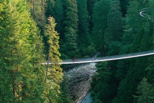 Vancouver: Capilano Suspension Bridge Park Ticket