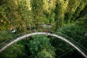 Vancouver: Capilano Suspension Bridge Park Ticket