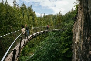 Vancouver: Capilano Suspension Bridge Park Ticket