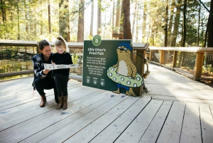 Vancouver: Capilano Suspension Bridge Park Ticket