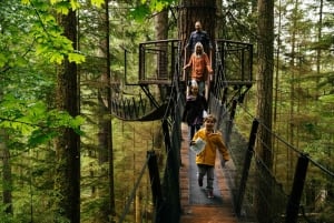 Vancouver: Capilano Suspension Bridge Park Ticket