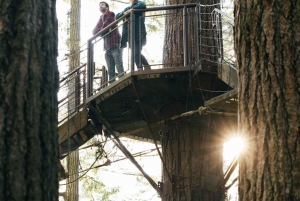 Vancouver: Capilano Suspension Bridge Park Ticket