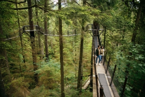 Vancouver: Capilano Suspension Bridge Park Ticket