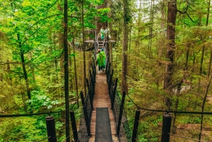 Vancouver & Capilano Suspension Bridge Sightseeing: Half-Day