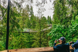 Vancouver & Capilano Suspension Bridge Sightseeing: Half-Day