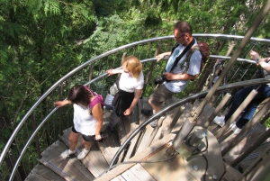 Capilano Suspension Bridge/Charisma's Canyon Light/LUX CAR