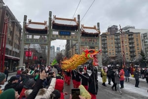 Recorrido en Coche por Vancouver: Ver todas las atracciones de la ciudad/Ahorrar tiempo y dinero
