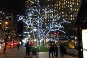 Vancouver Christmas Light Tour private