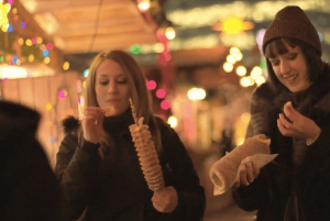 Vancouver: Christmas Lights Karaoke Trolley Tour