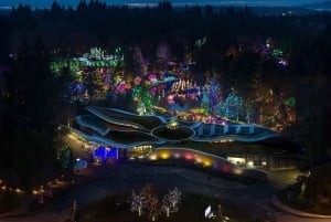 バンクーバー：クリスマス ライト カラオケ トロリー ツアー