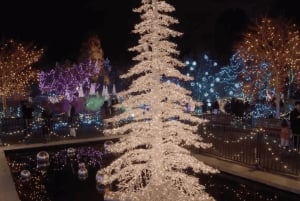 バンクーバー：クリスマス ライト カラオケ トロリー ツアー