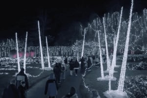 バンクーバー：クリスマス ライト カラオケ トロリー ツアー