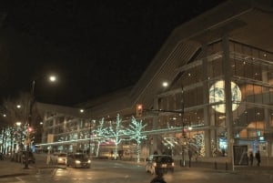 バンクーバー：クリスマス ライト カラオケ トロリー ツアー