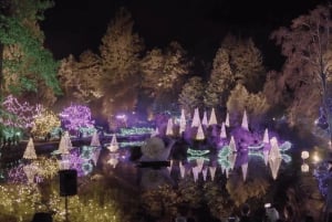 バンクーバー：クリスマス ライト カラオケ トロリー ツアー