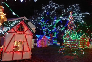 Vancouver: Kersttour met toegang tot het lichtfestival