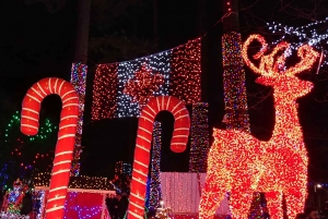 Vancouver: Kersttour met toegang tot het lichtfestival