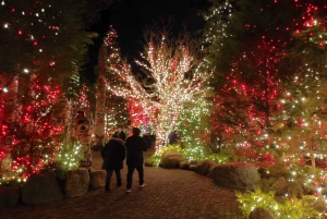 Vancouver: Kersttour met toegang tot het lichtfestival