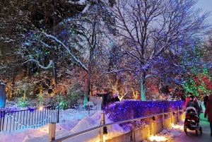 Vancouver: Kersttour met toegang tot het lichtfestival