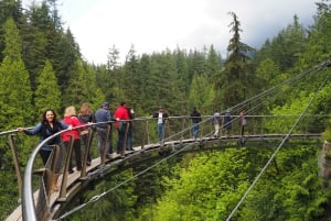 Vancouver City und Capilano Park Private Tour