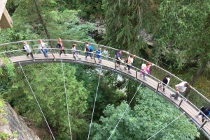 Vancouver: City and Mountain Adventure with Grouse Mountain