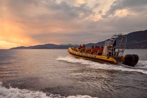 Vancouver: City and Nature Sightseeing RIB Tour