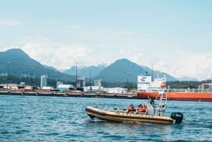 Vancouver: City and Nature Sightseeing RIB Tour