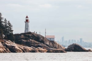 Vancouver: City and Nature Sightseeing RIB Tour