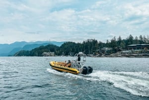 Vancouver: City and Nature Sightseeing RIB Tour