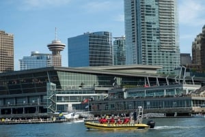 Vancouver: City and Nature Sightseeing RIB Tour