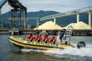 Vancouver: City and Nature Sightseeing RIB Tour