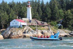 Vancouver: City and Seal Boat Tour