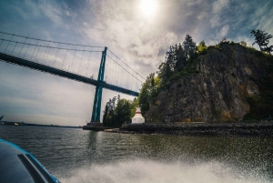 Vancouver: City and Seal Boat Tour