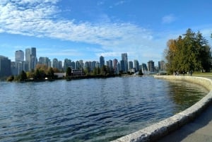 Vancouver: City Car Tour, Stanley Park, Granville Island