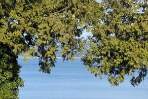 Vancouver: City Car Tour, Stanley Park, Granville Island