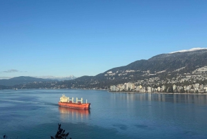 Vancouver: City Car Tour, Stanley Park, Granville Island