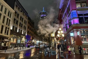 Vancouver: City Car Tour, Stanley Park, Granville Island