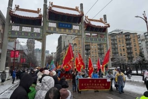 Vancouver: City Car Tour, Stanley Park, Granville Island