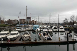 Vancouver: City Car Tour, Stanley Park, Granville Island