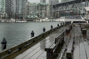 Vancouver: City Car Tour, Stanley Park, Granville Island